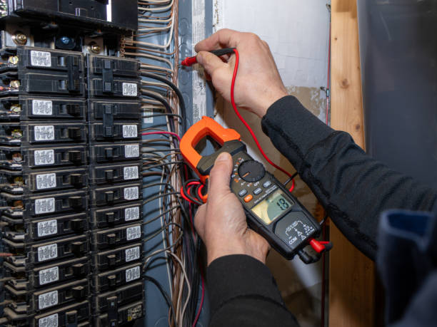 Best Electric Panel Repair  in Dimmitt, TX